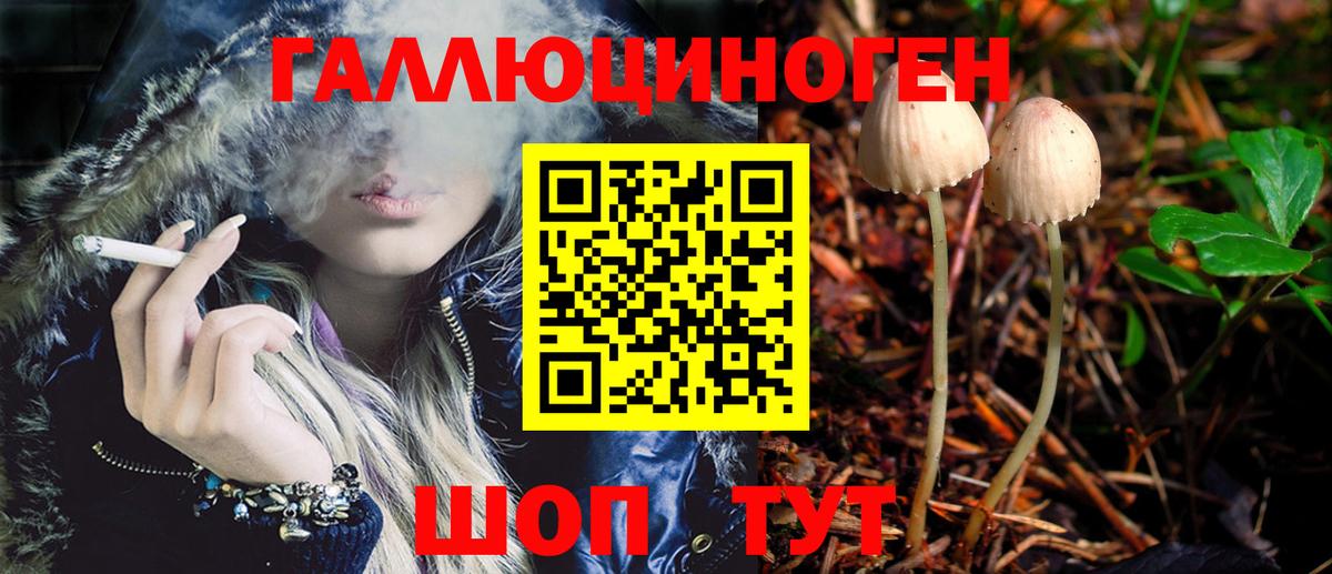 Псилоцибиновые грибы MAGIC MUSHROOMS Мичуринск