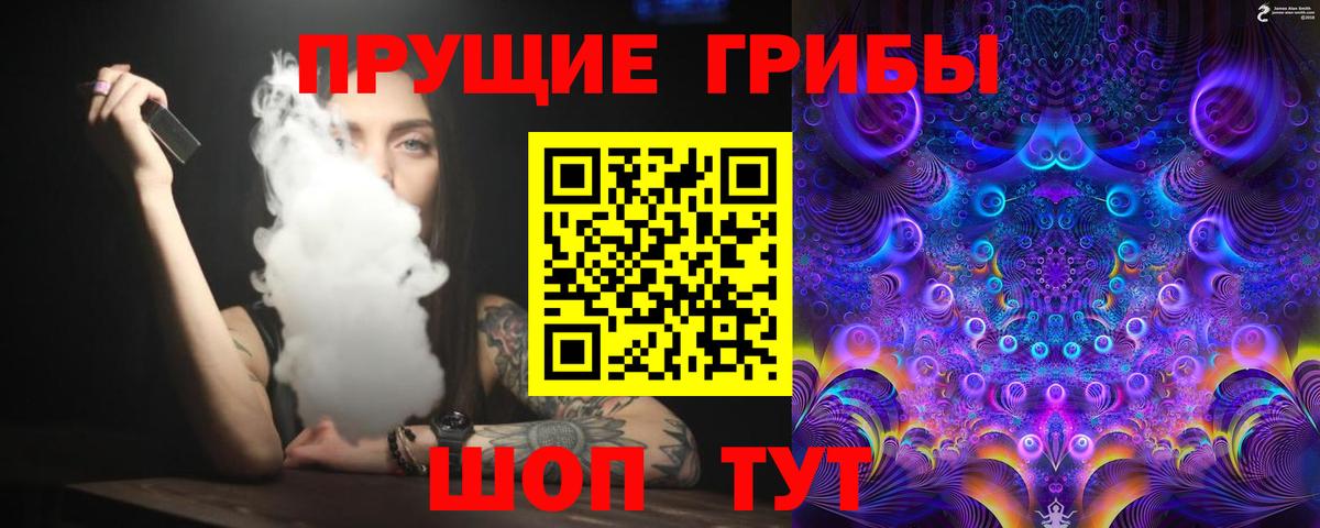 Псилоцибиновые грибы прущие грибы  Вход с VPN  Мичуринск 